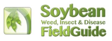 Soybean Field Guide